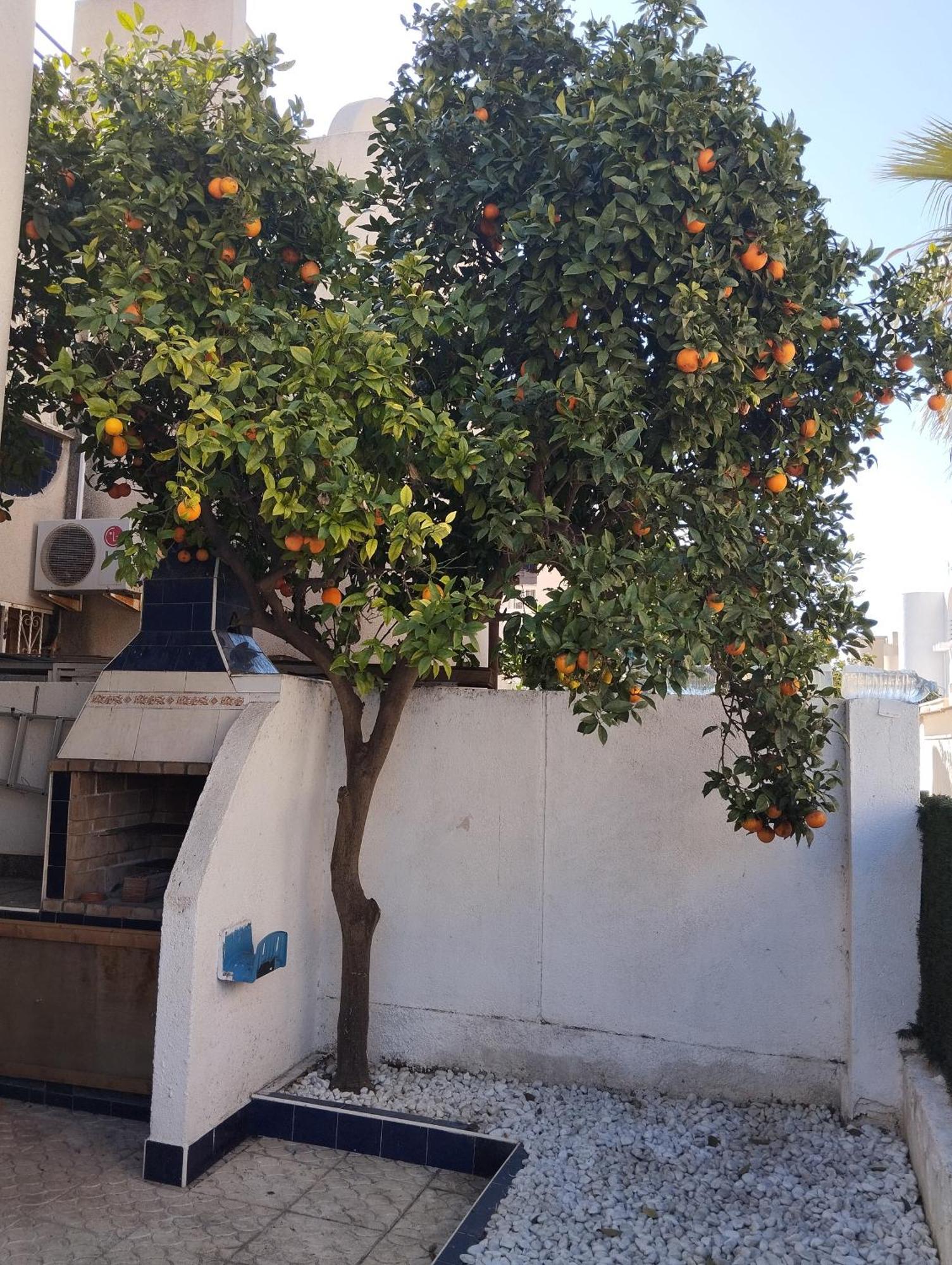 Z&R - Alcyone Villa Torrevieja Zewnętrze zdjęcie