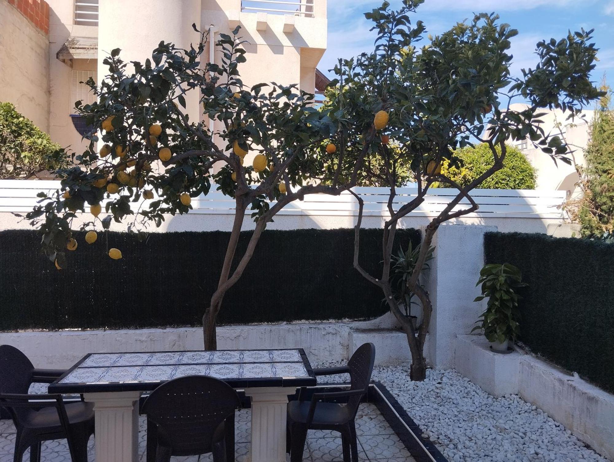 Z&R - Alcyone Villa Torrevieja Zewnętrze zdjęcie